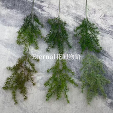 ��ᘆ�֦���X�ɾGɫ���滨ɭϵ����Gֲ�Ĕz�쾰�����쾰�ٻ����l