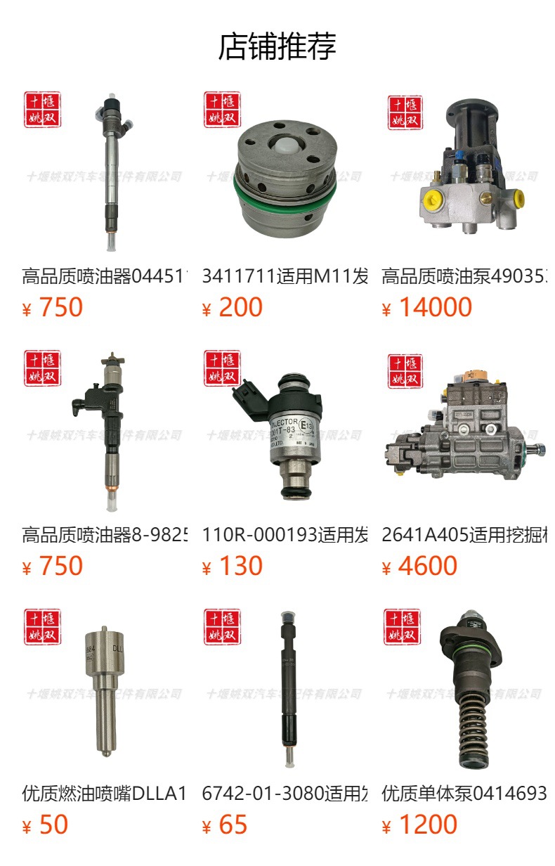 High Quality Nozzle Dpn98289 Suitable for Automobile Diesel Engine High Pressure Fuel Common Rail Injection Valve Nozzle Wholesale