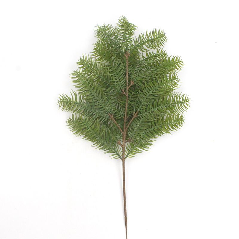 刺杉 XRB-333 (4).jpg