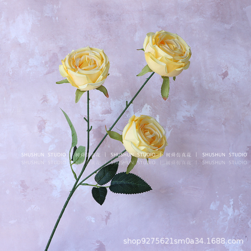 세 황실 첩의 장미