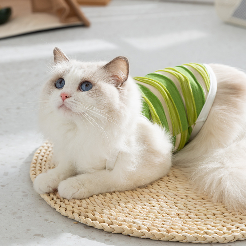 Gato de verano lindo pez a rayas de dos patas tridimensionales tracción perro Honda oso de peluche gatito ropa para mascotas