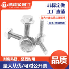 �v¡��304���P������^���m���ݽz-���ǎ��X�A˾M234568��˨