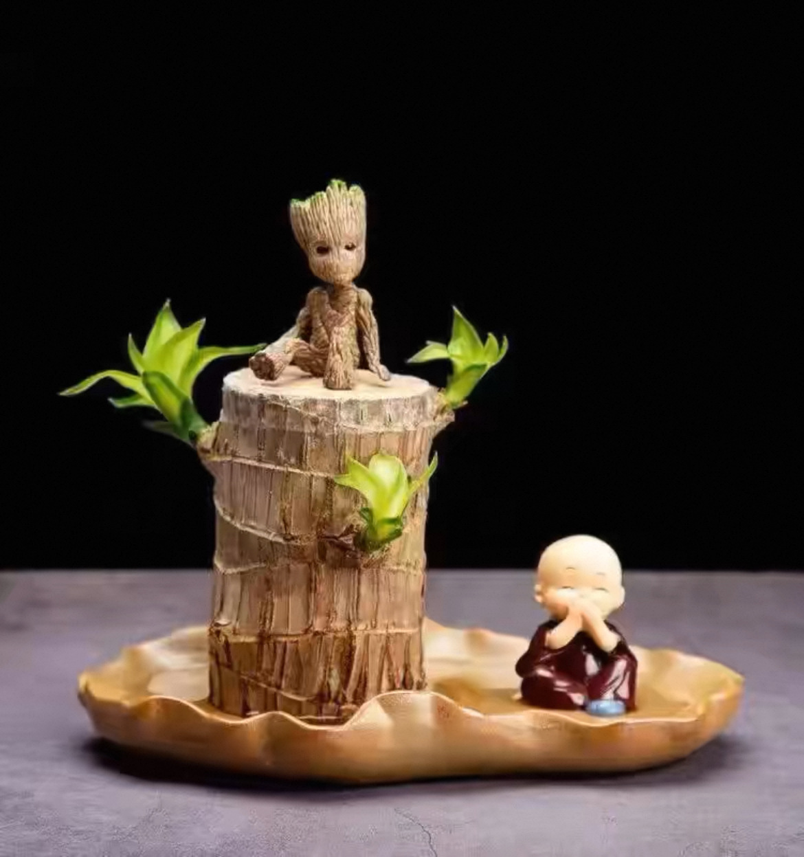 6- 7cm [발아 가능] 브라질우드 + 연잎 냄비 + 그루트 + 꼬마 스님 / 액체 보내기