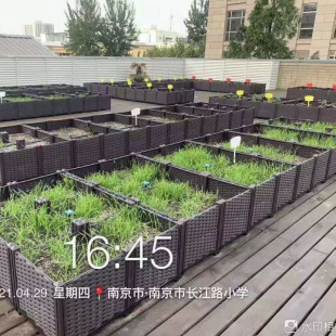 Balcony Planting Box Thickened Rectangular Flower Pot Creative Combined Plastic Vegetable Planting Pot Vegetable Planting Pot Direct Supply