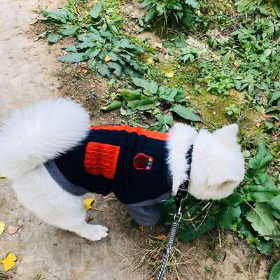 狗狗衣服大狗毛衣冬天保暖中型大型犬金毛拉布拉多冬季寵物秋冬裝