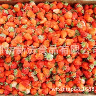 �ك���ݮ������Y�|���S�������棩