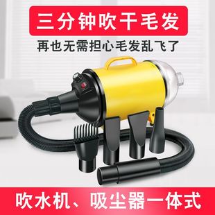 Pet Large Dog High-Power Hair Dryer Dog Hair Dryer Quick-Drying Dog Bath Blower Home Manufacturer Cross-Border