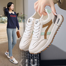 ЬŮ2024Ƥ\ЬinsnWСЬٴmeЬ