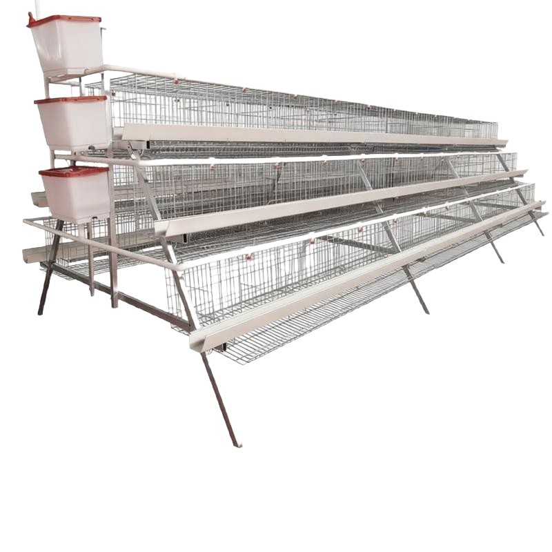 Capacidad de cría de gallinas de huevos de cuatro capas y cuatro puertas de gallinas para criar gallinas de huevos de huevos de tanque de alimentación verde de tanque de alimentación blanco equipo de cría