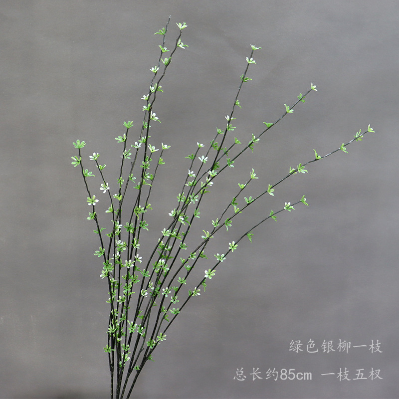 Sauce de plata verde