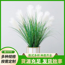 仿真北欧芦苇草假花摆件家居橱窗婚庆装饰狗尾巴草蒲公英仿真植物