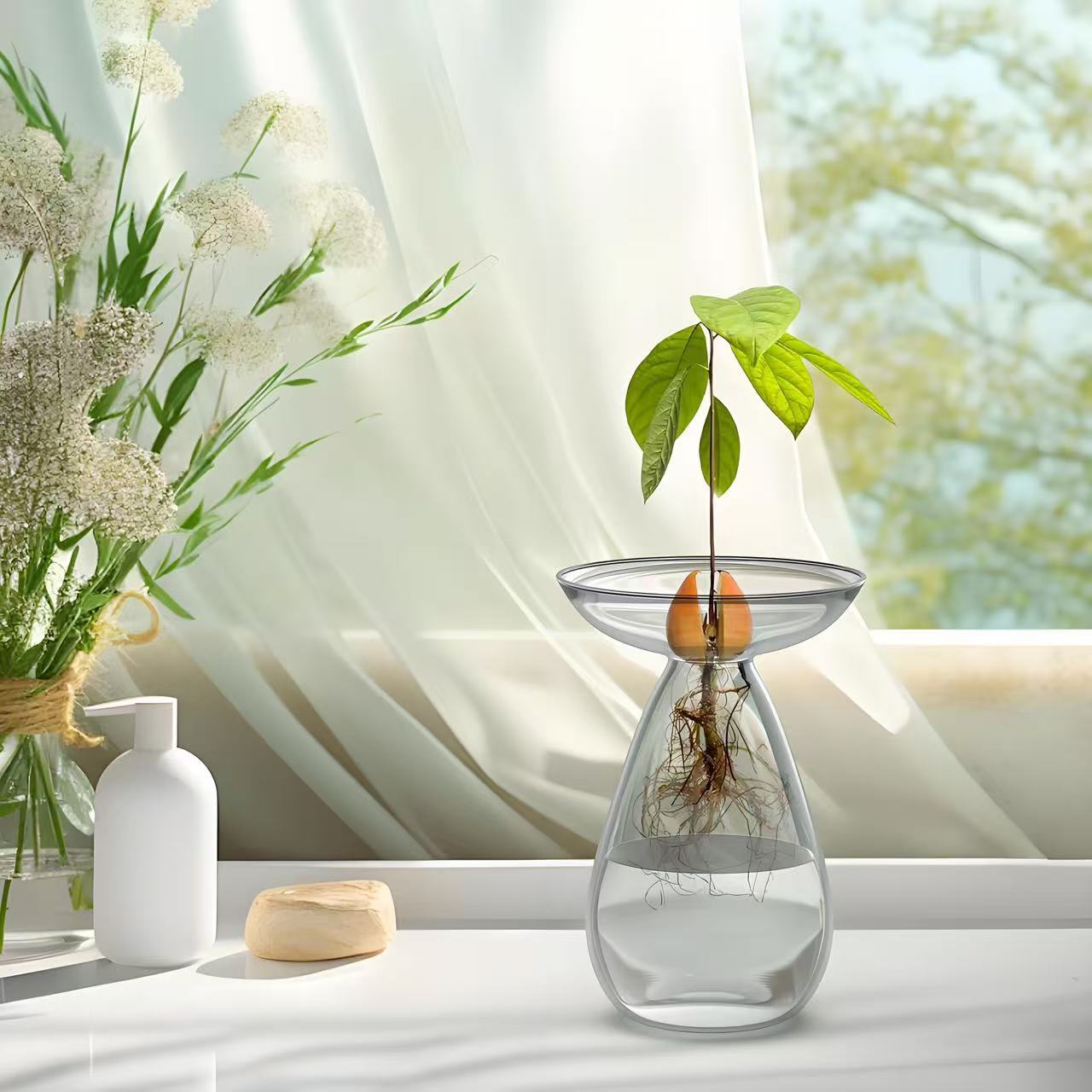 Vaso hidropónico de aguacate Vaso de plantación de semillas de hueso de aguacate Vaso de aguacate con alto contenido de borosilicato