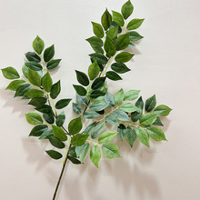 ��Ʒ�����Ř��~õ�廨�~������Ҙ�֦�G���@�־Ƶ��b��ܘ��~���l