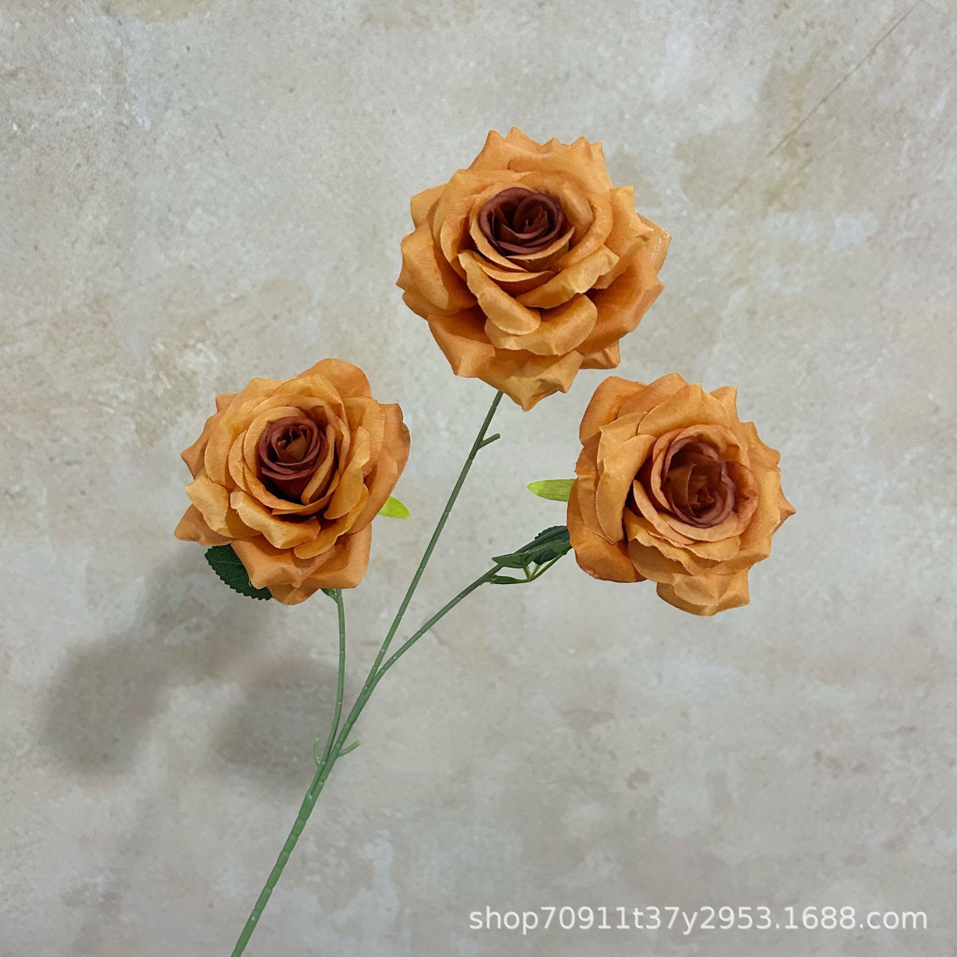 잎이 있는 카라멜 색상