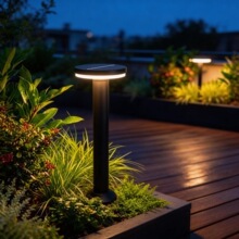 ̫��������ƺ�������ˮ�F�����sͥԺ�ݵ����ވ@�־��^�e��С�^