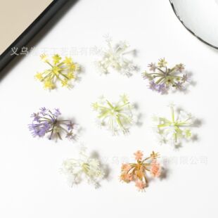 ������С���؝���Ů���� DIY �ֹ��^� ɭϵ�l��T���