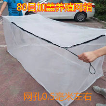 80ĿL�ͼ��w�W������W��ˮ�����q�S�X�B�~�\�W�������Bֳ�W