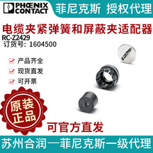 �����˹���¼н����ɺ����μ������� - RC-Z2429 1604500