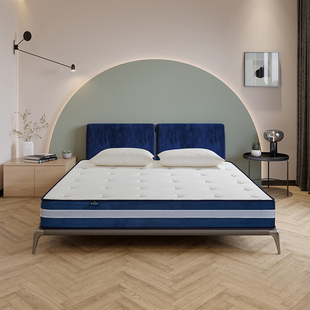 Ft custom factory public household bagged hard thick latex sub-single dormitory spring mattress independent