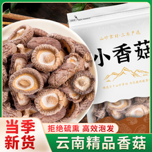 新货小香菇云南特产干货珍珠菇类蘑菇菌类剪脚冬菇金钱菇500g煲汤