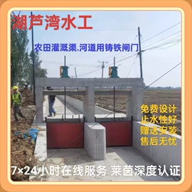 闸阀;启闭机;污泥处理设备