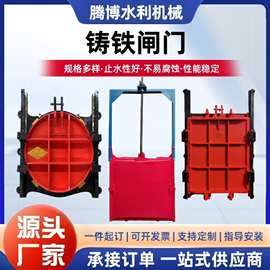 商家直销铸铁闸门 渠道平板手电启闭机闸门 双止水sfz方形闸门