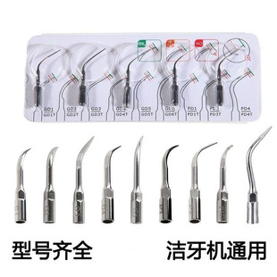 Dongguan Dental Scaler Dental Accessories Cleaning Scaler Working Tip Pge Model Stainless Steel Universal Cross-Border Supply