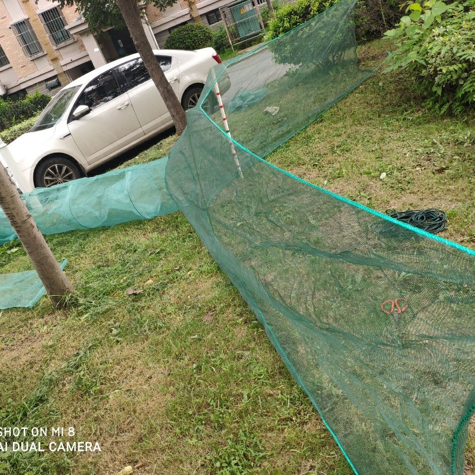 6 m de ancho, 1 m de largo, 3 m de largo cola