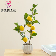 �ٻ�����ֲ��ˮ���辰��������С�ڼ�������ֲ��������ѷ����