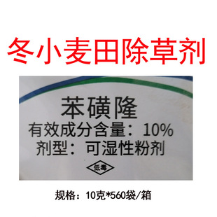 10%����¡���i���겥�����i������С������~�s�ݳ��݄�