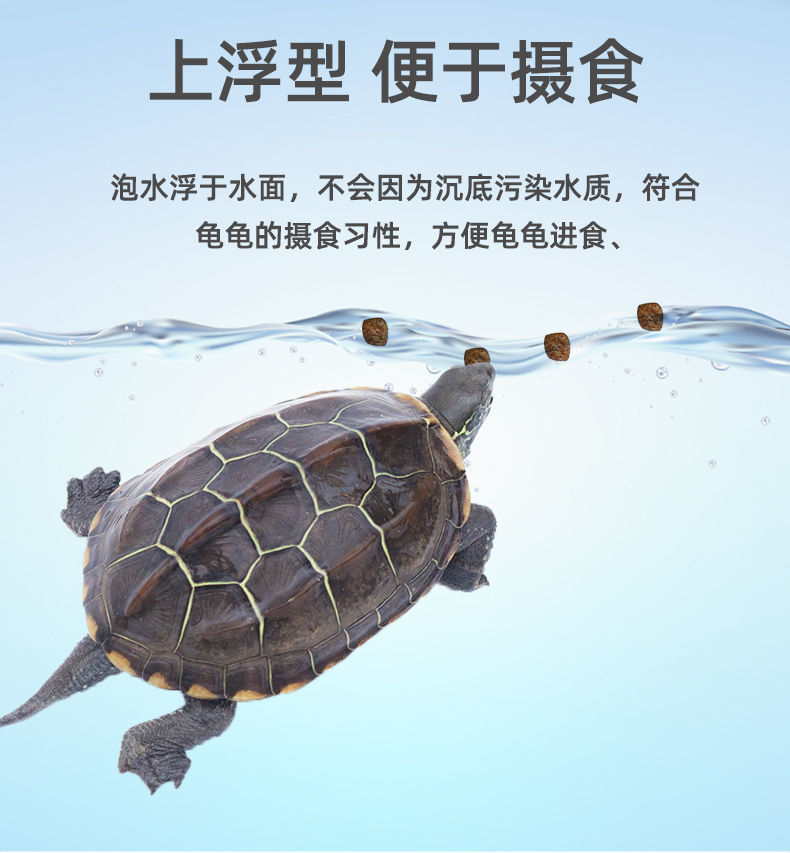 3123385e-82e1-442b-b2ad-d634039852b3.jpe