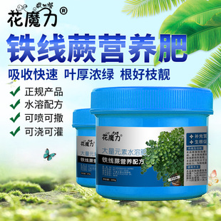 �F��ާ���Ԍ��àI�B���F�z���F����ˮ�ië���辰ͥԺ�^�~ֲ�����