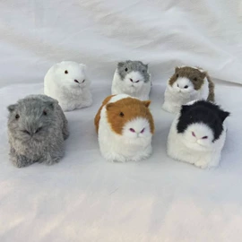 动物工艺品;皮毛工艺品;动植物仿真