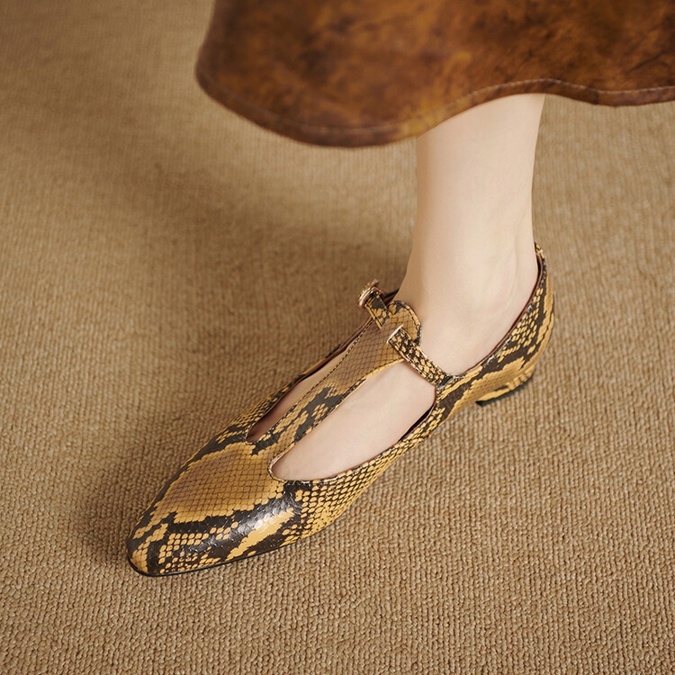 Leopard Print Women's Flats 2026 New Square-Toe Low-Heel Women's Shoes 3cm High-Heeled Mary Jane Shoes Patent Leather Autumn