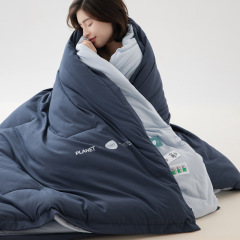 クラス A A Duoping の交換用同じスタイルの深い睡眠温度制御キルト肥厚冬プラネットプロ二重層温度制御キルトキルトコアメーカー