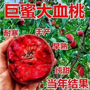 �Ҙ����޽ӵ�����Ʒ�N�Ҙ����Ϸ������Nֲ�����ش���ˮ������