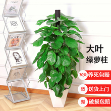 ���~�G�}�����Կ͏d�����҃ȾGֲ�������՚��_�I�ͶY����ȩ�ļ��G