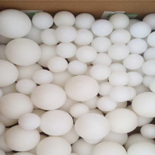 Nylon ball manufacturers supply nylon ball nylon sealing ball white nylon parts