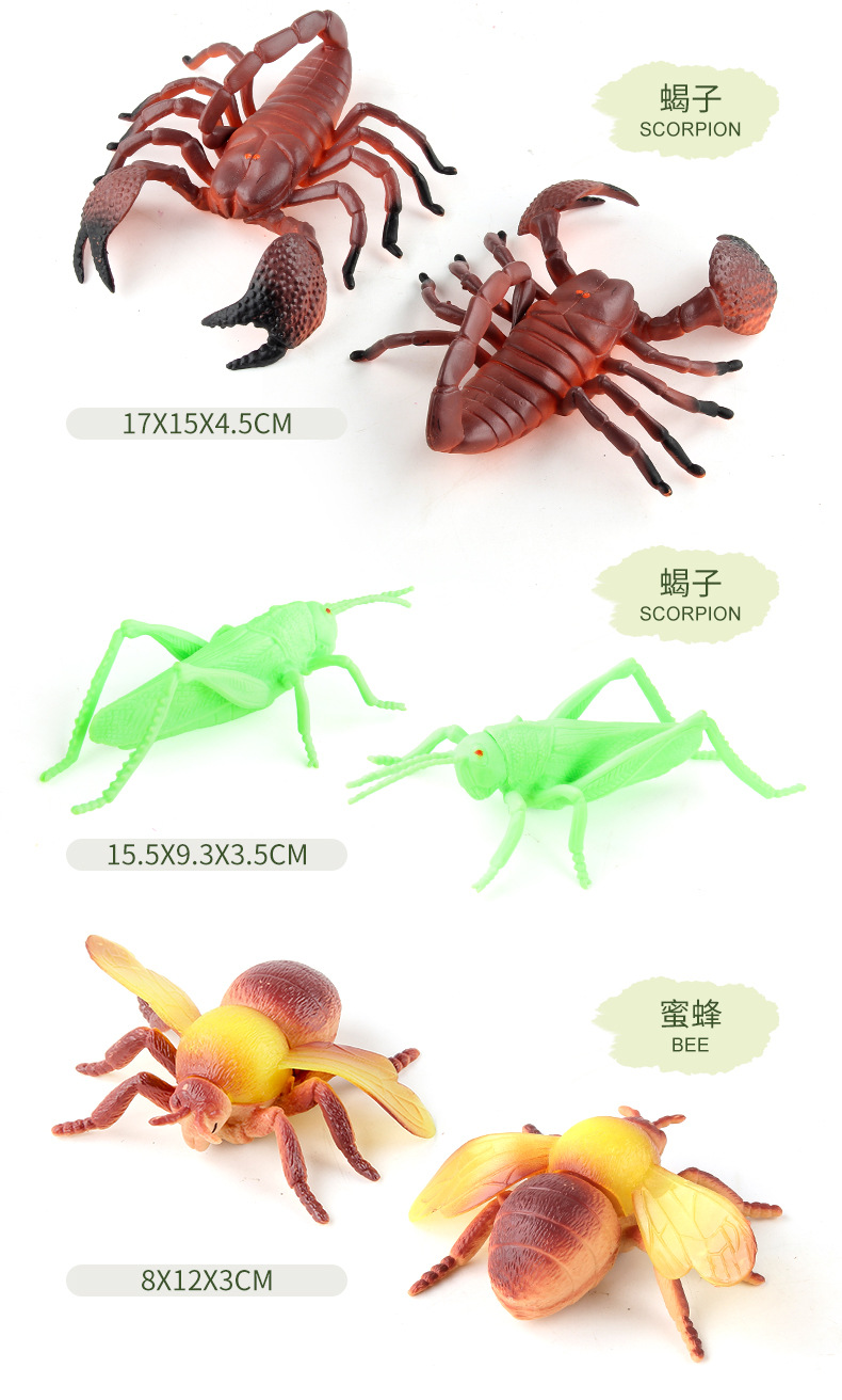 详情_06.jpg