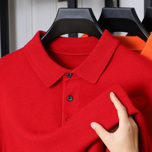 �ﶬ��ᘿ���ë��POLO�I���^��������I�~���L�����п羳���ڌ���