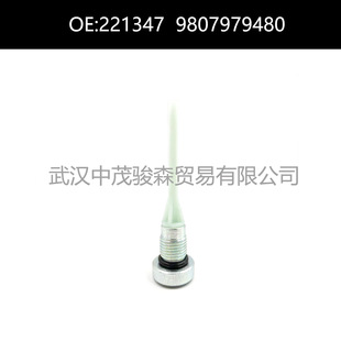 221347 9807979480 Is Suitable for Peugeot Citroen Automatic Transmission Oil Drain Screw