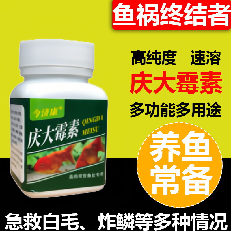 庆大霉素炸鳞立鳞烂鳃烂尾白毛白点观赏鱼淡水鱼龙鱼海鱼鱼缸