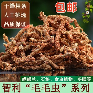 �����M��ëë�xˮ̦ˮ�ݸ�̦�\�����m΢���^���x���Ǽt�ݞ�������