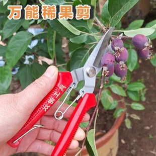 �S�ҏ����๦�����t�����^�߹����FƤ����֦���f��ˮ������ժ����