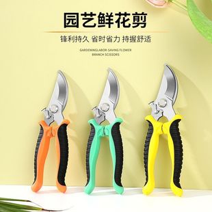 Stainless Steel Branch Shears, Pruning Shears, Gardening Scissors, Orchard Flower Art Special Fruit Picking Shears, Garden Tool Shears Wholesale