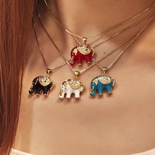 2024�Ė|�ρ��L�ɐ۴�����Ů�i����ʯ���͵������s������