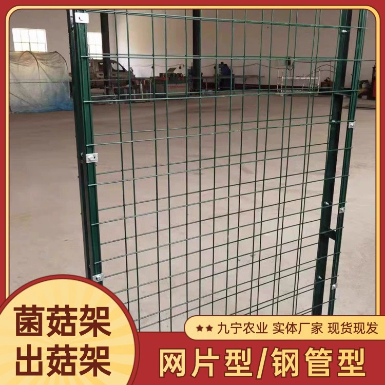 Новый тип решетчатой ​​стойки для выращивания грибов в теплице, комната для выращивания грибов, стойка для выращивания грибов, стойка для выращивания грибов, стойка для выращивания грибов, стойка для выращивания грибов
