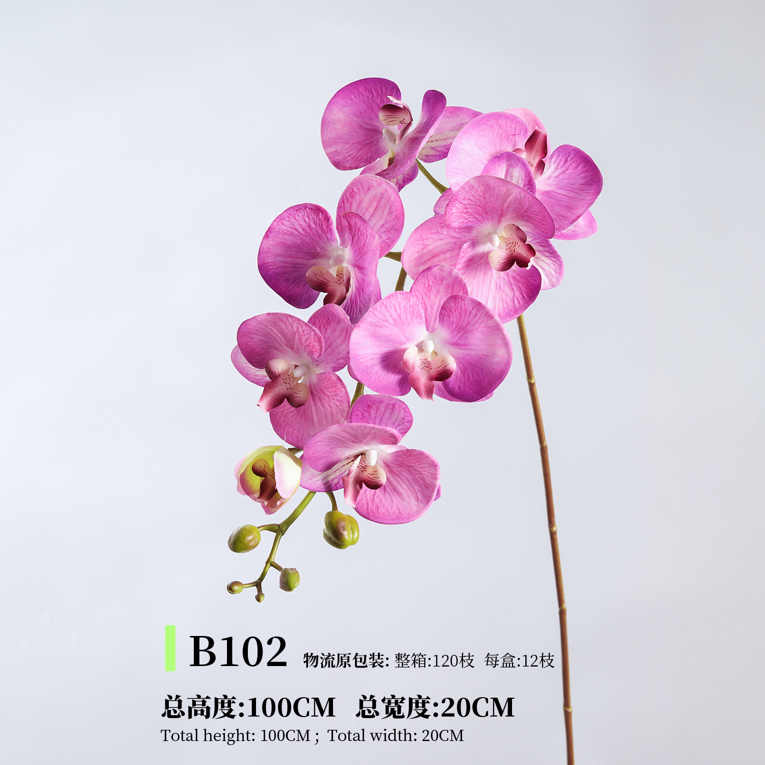 B102