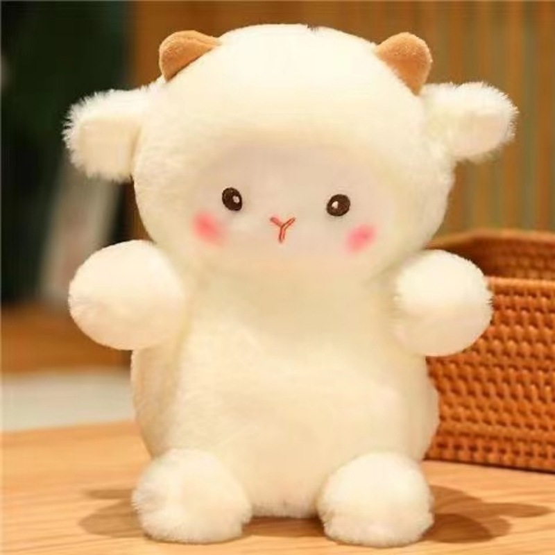 Pok sheep