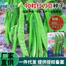 tNӰ״󵶶ⶹǲ˶ǷNļ߲ٶǷNl